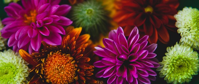 赛节