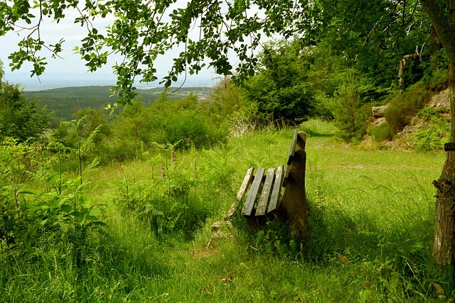 官方：帕尔马签下38岁西班牙门将瓜伊塔，顶替受伤的铃木彩艳