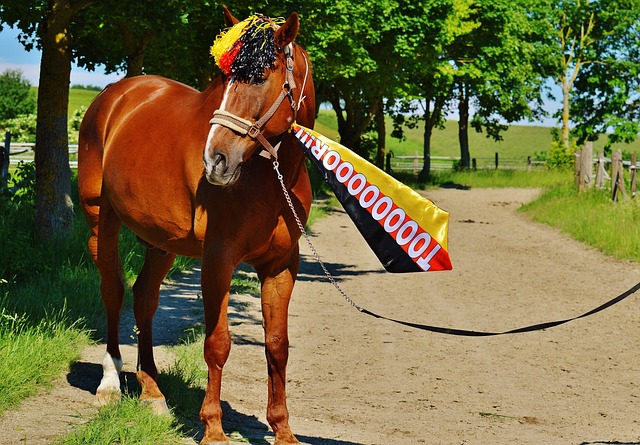 兰展开教练 兰展开教练