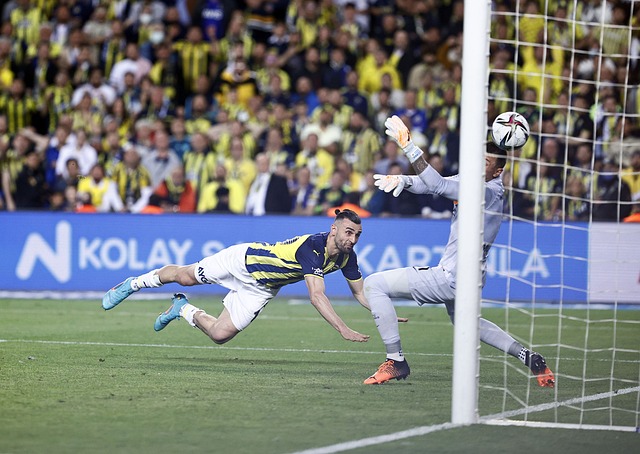 呈现出全新 呈现出全新