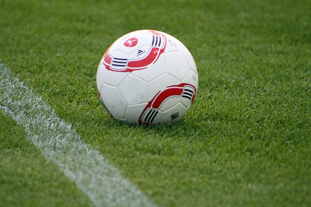 王艺迪显示 王艺迪显示